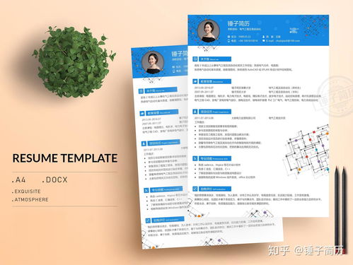 电气工程及其自动化简历模板设计